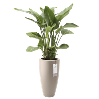 june round high 30cm greige